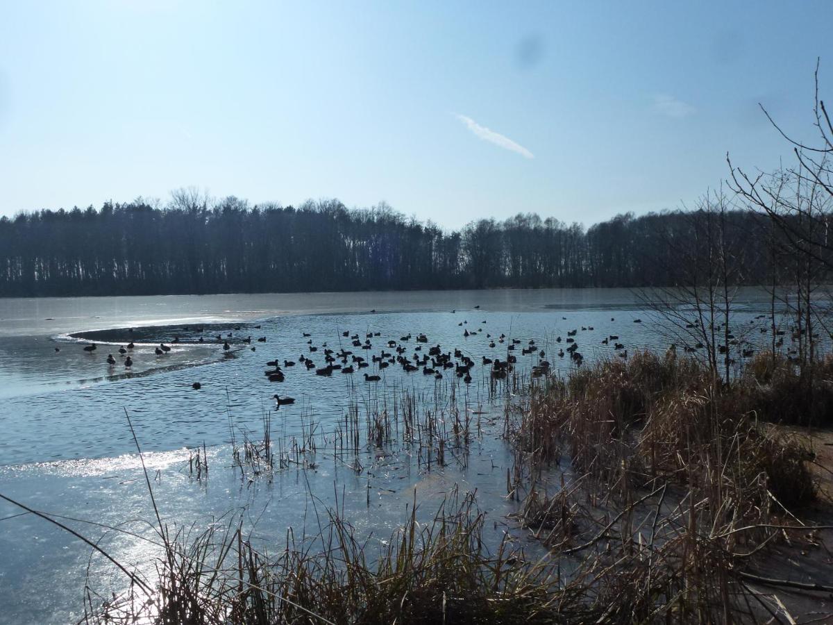 Seeblick Kemnitz แวร์เดอร์ ภายนอก รูปภาพ